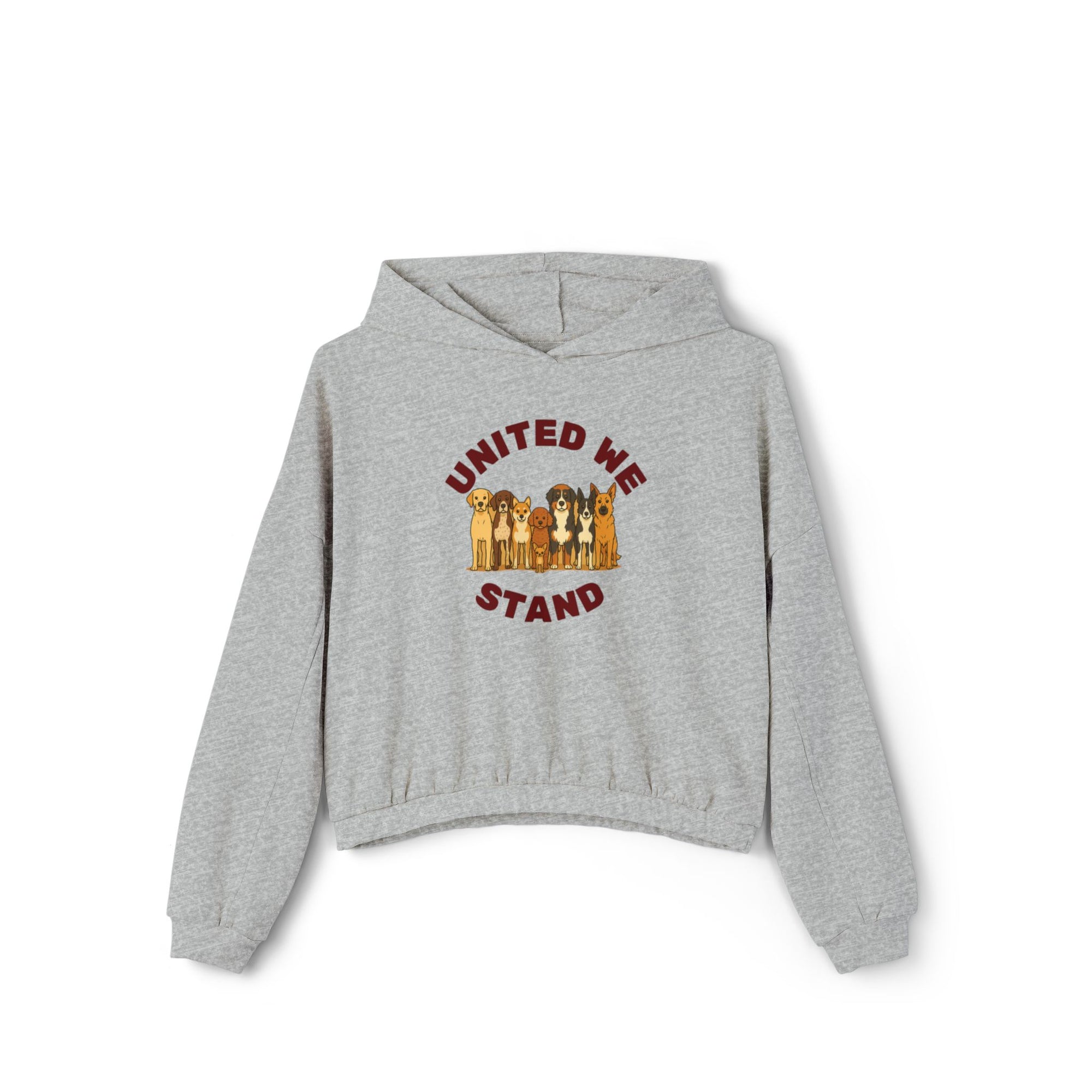 United We Stand Crop Hoodie
