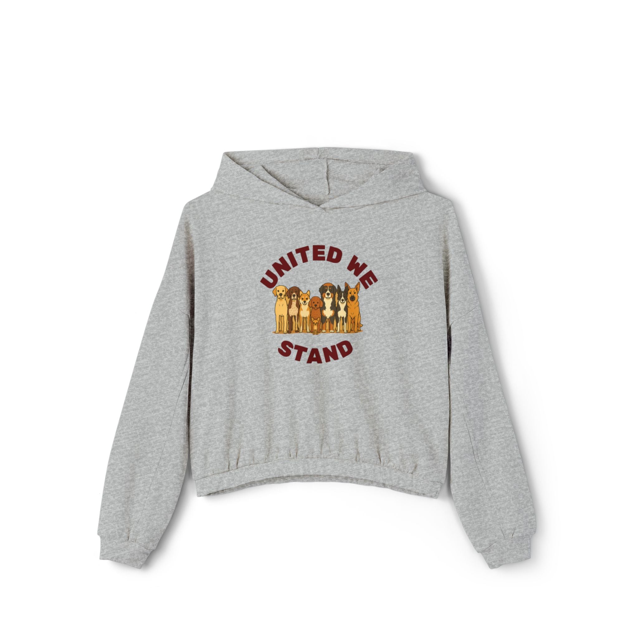 United We Stand Crop Hoodie