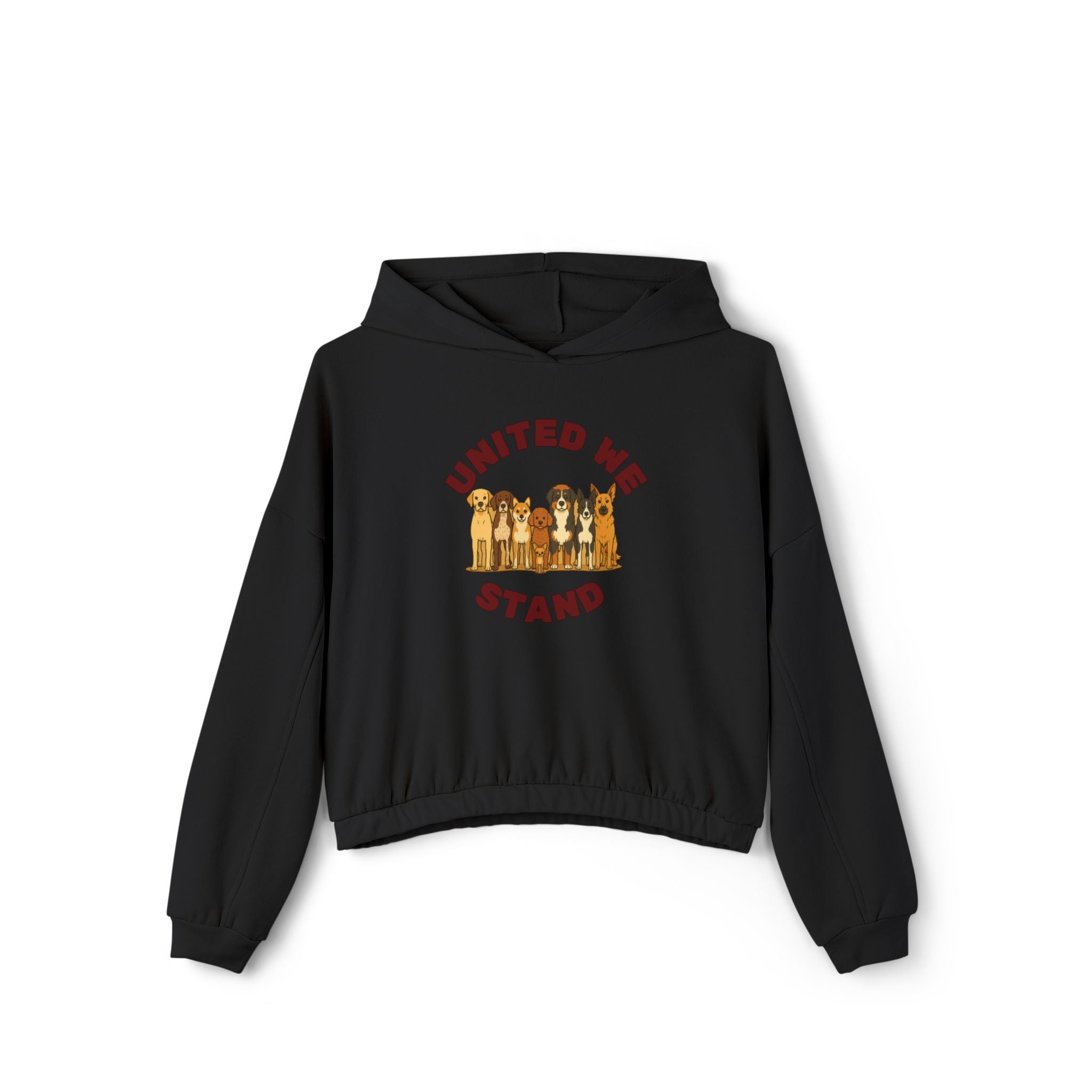 United We Stand Crop Hoodie